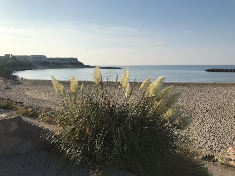 Apartmán Perle D'Horizon Marin Sète Exteriér fotografie